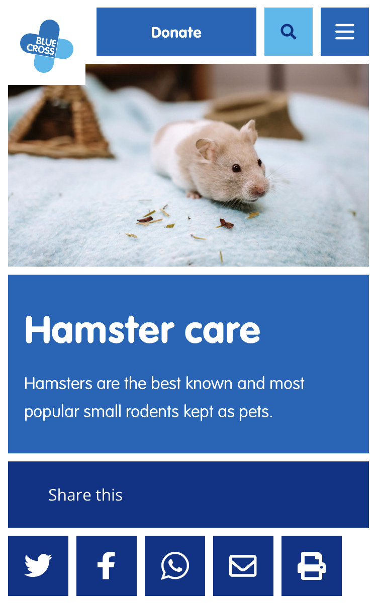 Hay, leaves, moss etc - Hamster Central