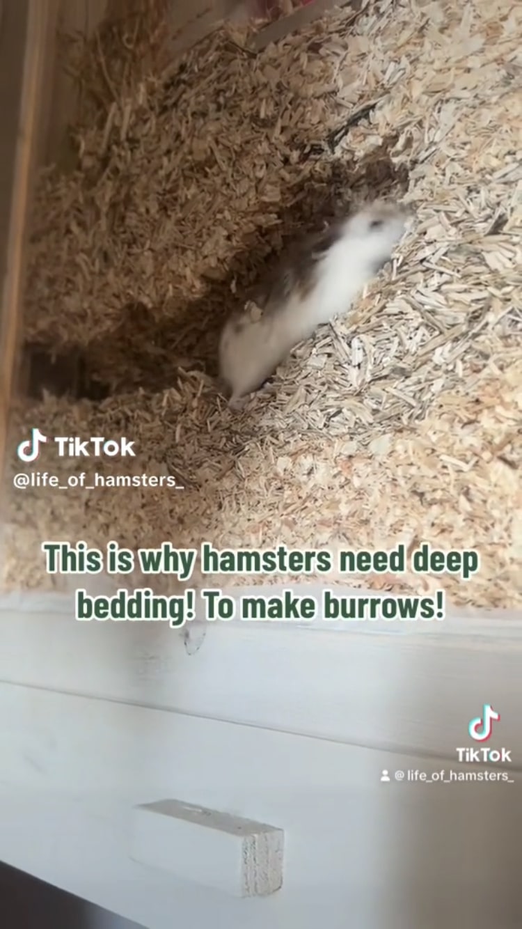 diy hamster bedding